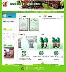 楊康生物攜手秦皇島市創想信息網絡 智能化生產制造與客戶展示新篇章